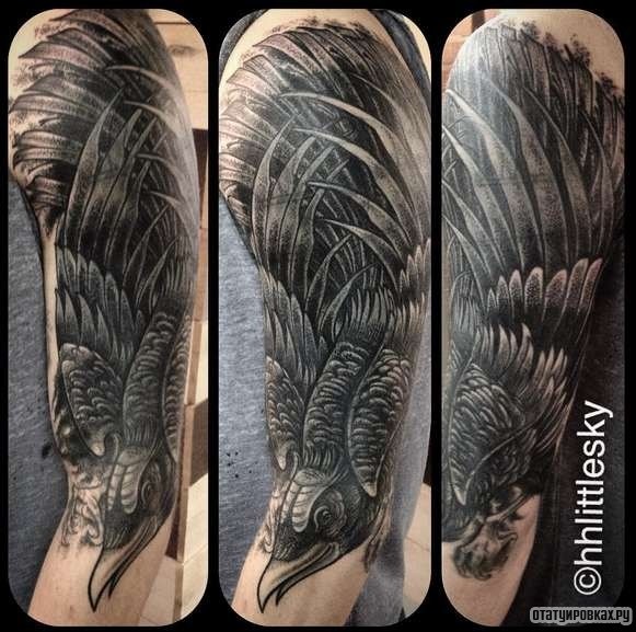 Фотография татуировки под названием «Голова черного ворона»