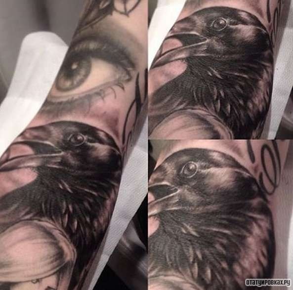 Фотография татуировки под названием «Морда ворона»