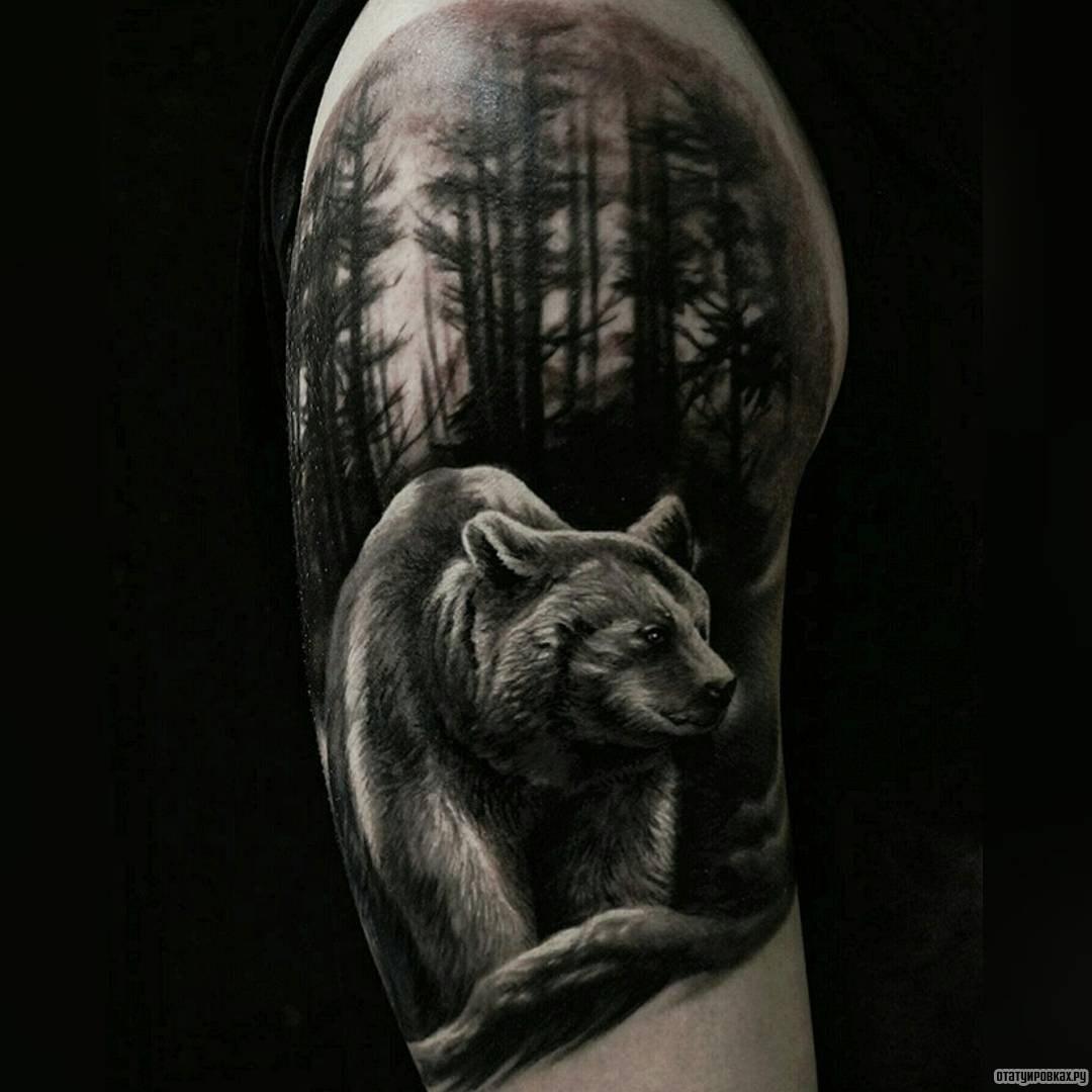 Фотография татуировки под названием «Медведь в лесу»