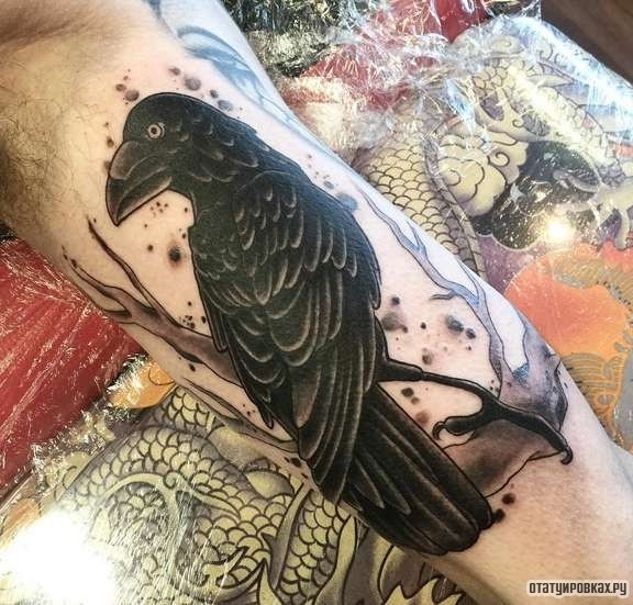 Фотография татуировки под названием «Черный ворон на ветке дерева»