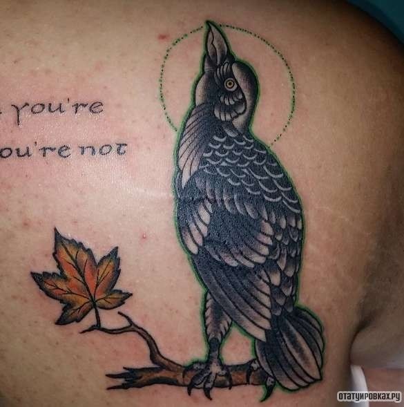 Фотография татуировки под названием «Ворон на ветке клена»