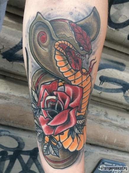 Фотография татуировки под названием «Кобра и роза»