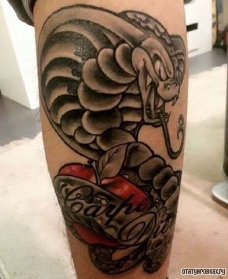 Фотография татуировки под названием «Кобра с красным яблоком»