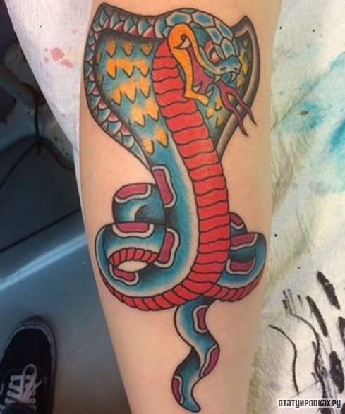 Фотография татуировки под названием «Яркая кобра»