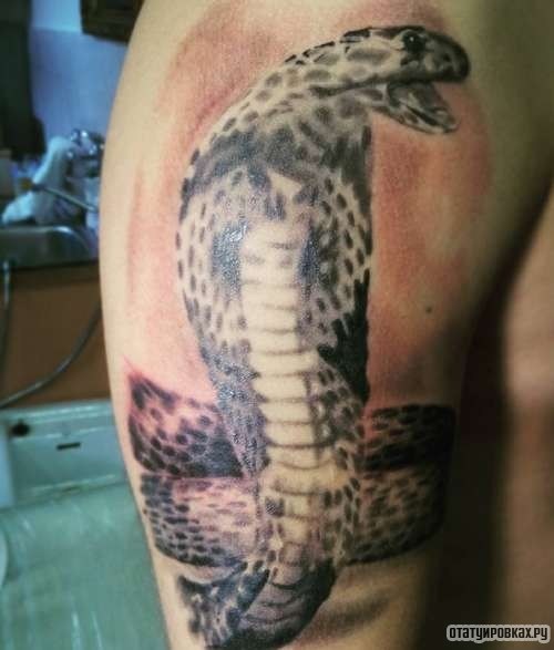 Фотография татуировки под названием «Кобра в опасности»