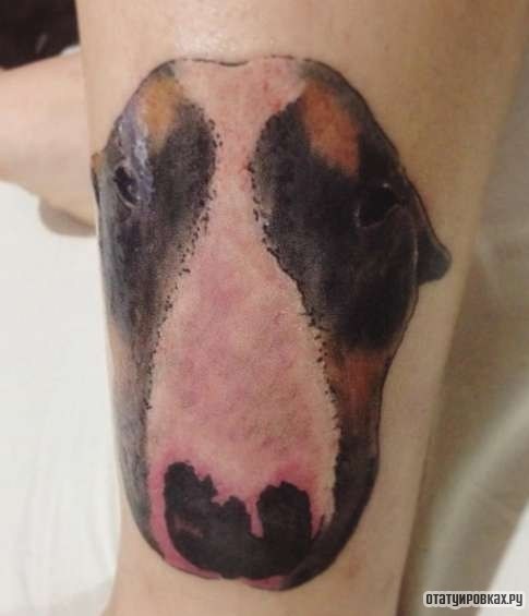 Фотография татуировки под названием «Собака бультерьер»
