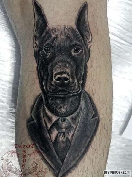 Фотография татуировки под названием «Доберман в галстуке»