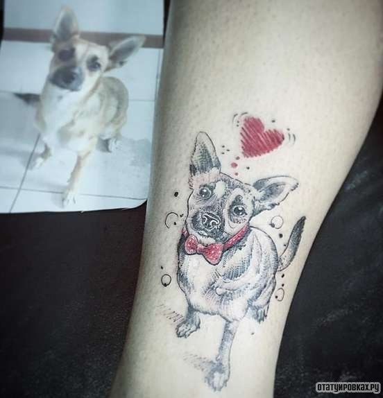 Фотография татуировки под названием «Собака с красным сердцем»