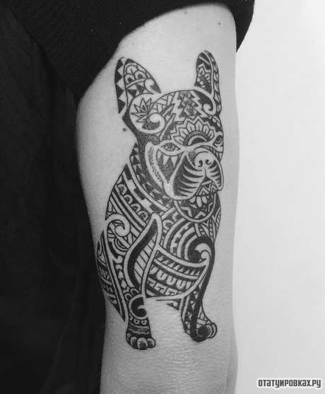 Фотография татуировки под названием «Собака в узорах»