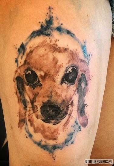 Фотография татуировки под названием «Собака в серых тонах»
