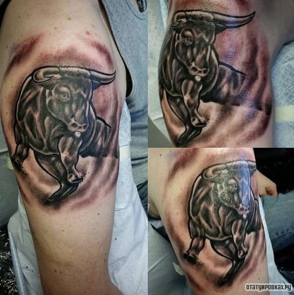 Фотография татуировки под названием «Бык в бою»