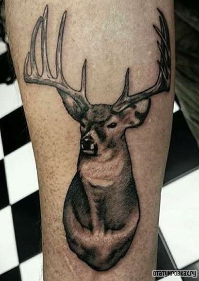 Фотография татуировки под названием «Олень с большими рогами»