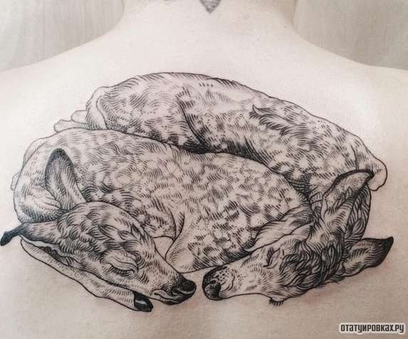 Фотография татуировки под названием «Два оленя»