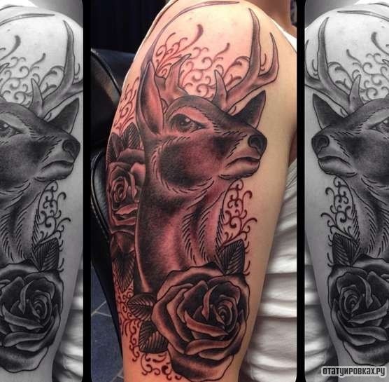 Фотография татуировки под названием «Олень с розами и узором»