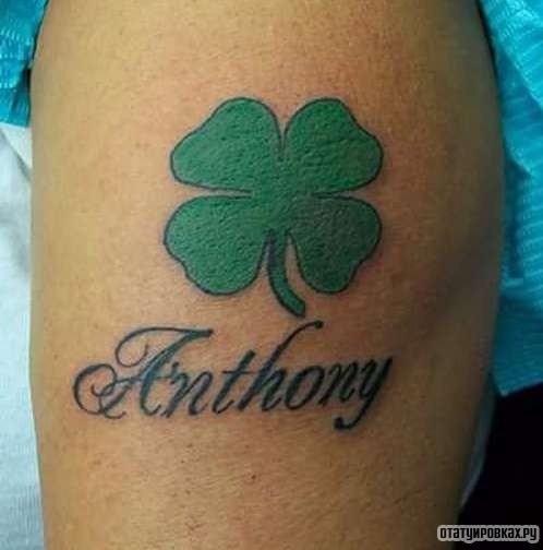 Фотография татуировки под названием «Клевер и надпись Anthony»
