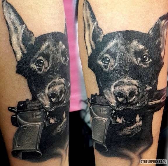 Фотография татуировки под названием «Пистолет в зубах у добермана»