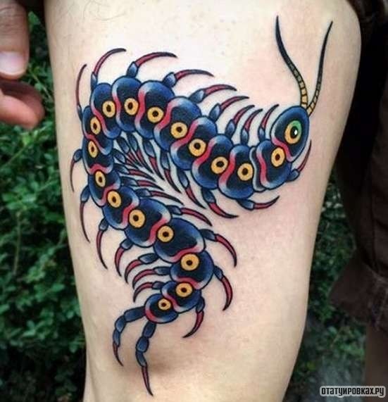 Фотография татуировки под названием «Сороконожка»