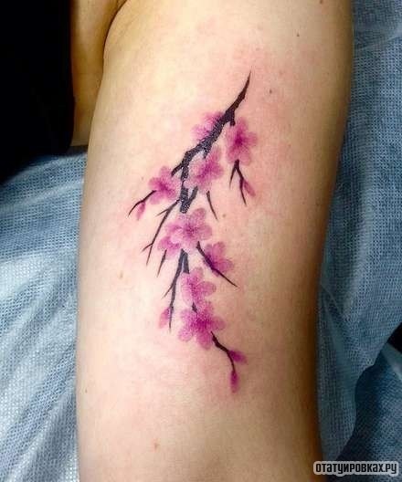 Фотография татуировки под названием «Нежная веточка сакуры»