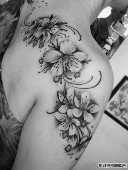 Фотография татуировки под названием «Белые цветки сакуры»