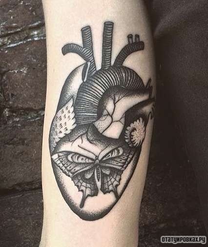 Фотография татуировки под названием «Сердце человека с бабочкой»