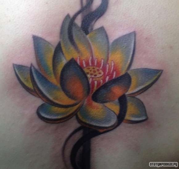 Фотография татуировки под названием «Лотос с разными оттенками»