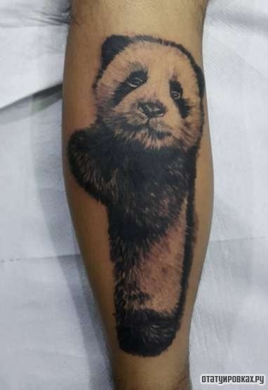 Фотография татуировки под названием «Панда»