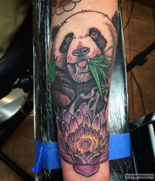 Фотография татуировки под названием «Панда жует зеленую траву»