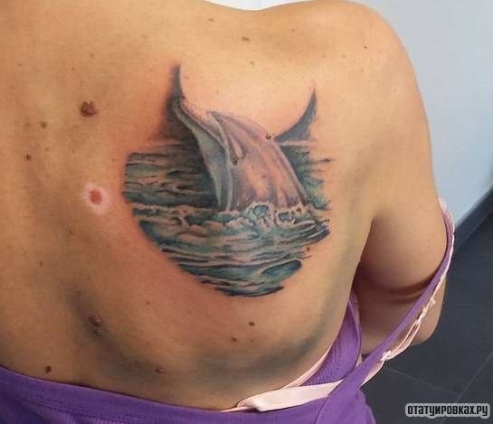 Фотография татуировки под названием «Дельфин в воде»