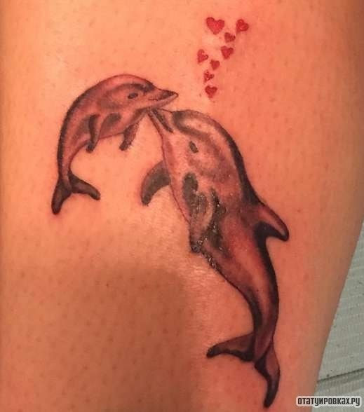 Фотография татуировки под названием «Дельфин с детенышем»
