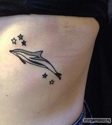 Фотография татуировки под названием «Дельфин со звездами»