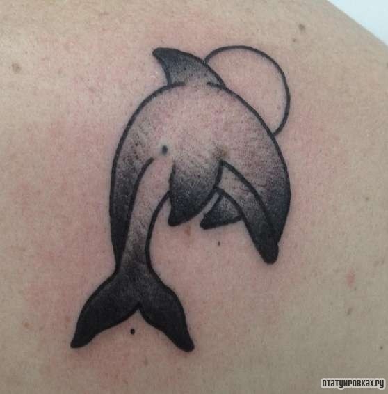 Фотография татуировки под названием «Дельфин в прыжке»