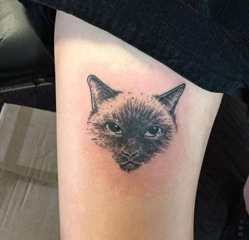 Татуировка готовы кота