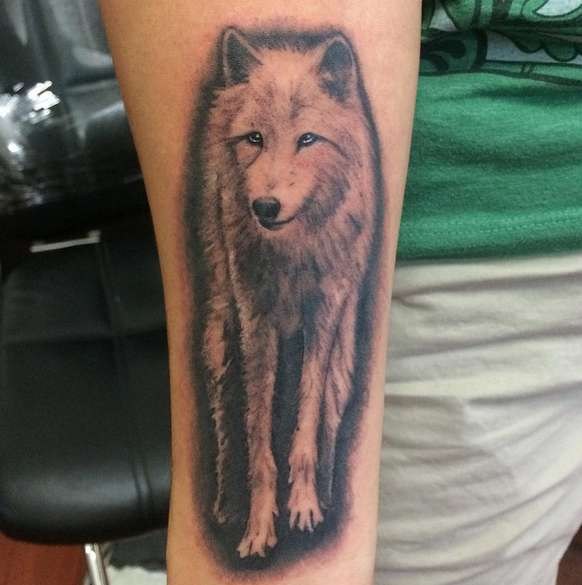 Татуировка волка