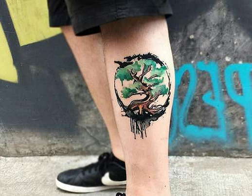 Дерево в цвете на ноге