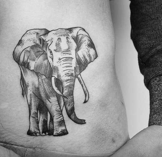 Татуировка слон сбоку тела