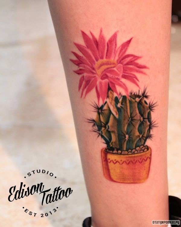 Татуировка кактус