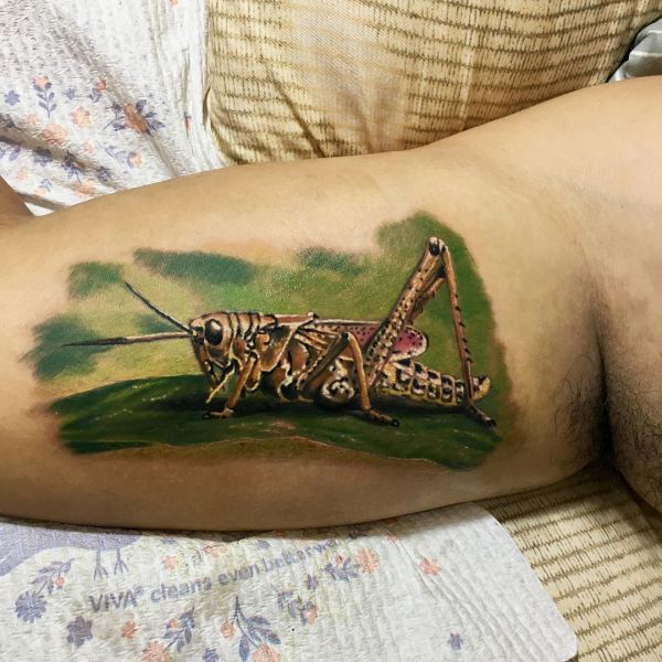Реалистичная татуировка кузнечика на природе в зеленой траве