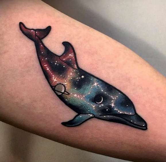 Дельфин и космос