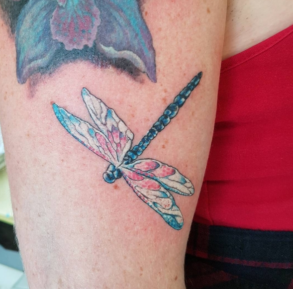 Татуировка стрекозы в цвете на предплечье