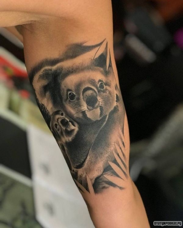 Татуировка коала