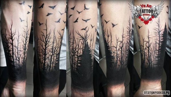 Темный лес с птицами на руке парня