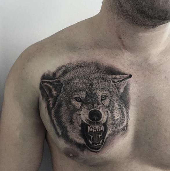 Волк с оскалом на груди парня