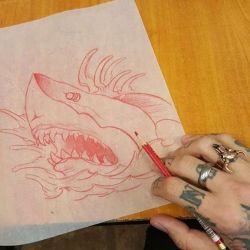 Татуировка акула эскиз