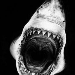 Татуировка акула эскиз