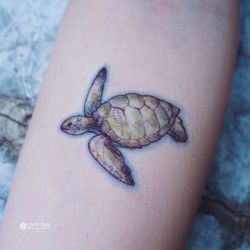Татуировка черепаха фото