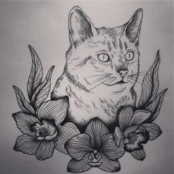эскиз татуировка кошка