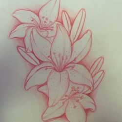 Татуировка лилия эскиз
