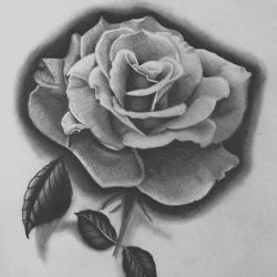 Татуировка роза эскиз