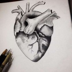 Татуировка сердце эскиз