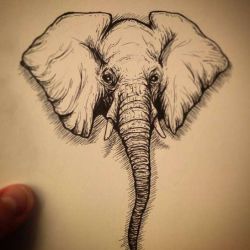 Татуировка слон эскиз